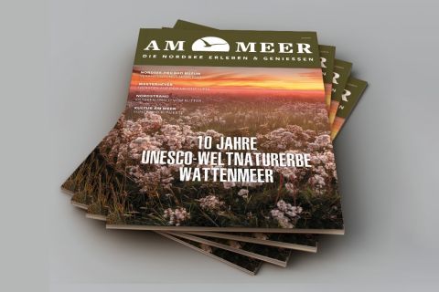 Magazinlayout, AM MEER, Magazin für Touristen an der Westküste